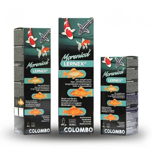 Colombo Lernex Fluke Treatment