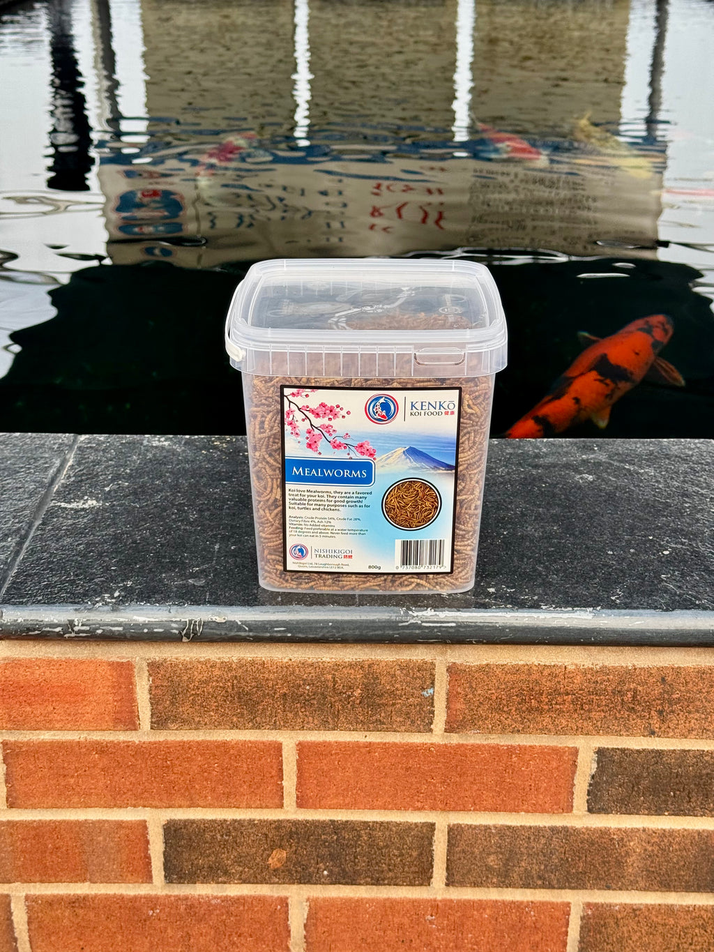 Kenko Mealworms 800g