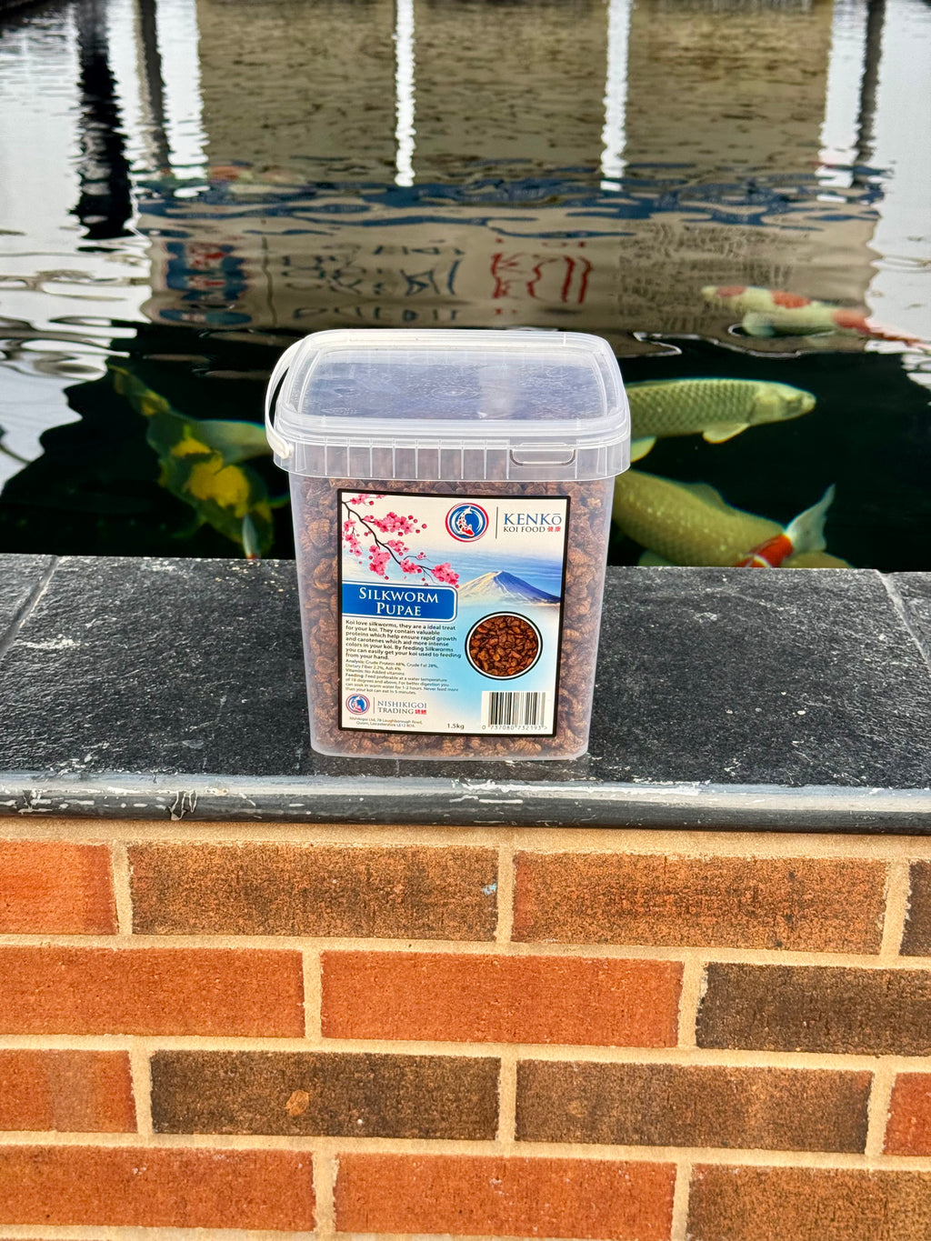 Kenko Silkworm Pupae 1.5kg