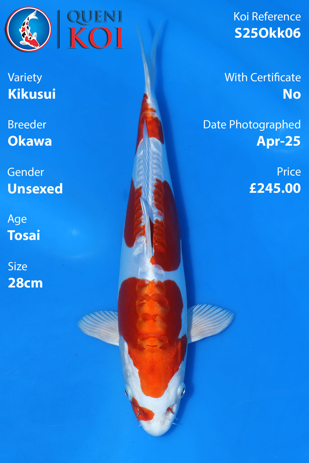 Kikusui - S25Okk06