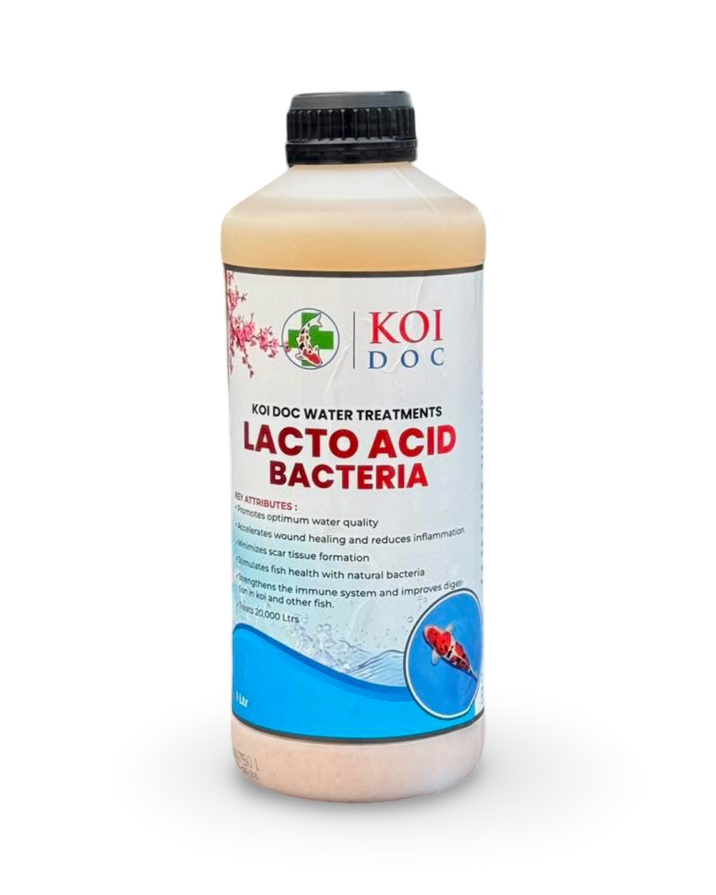 Koi Doc Lacto Acid Bacteria 1 Litre, 5 Litres