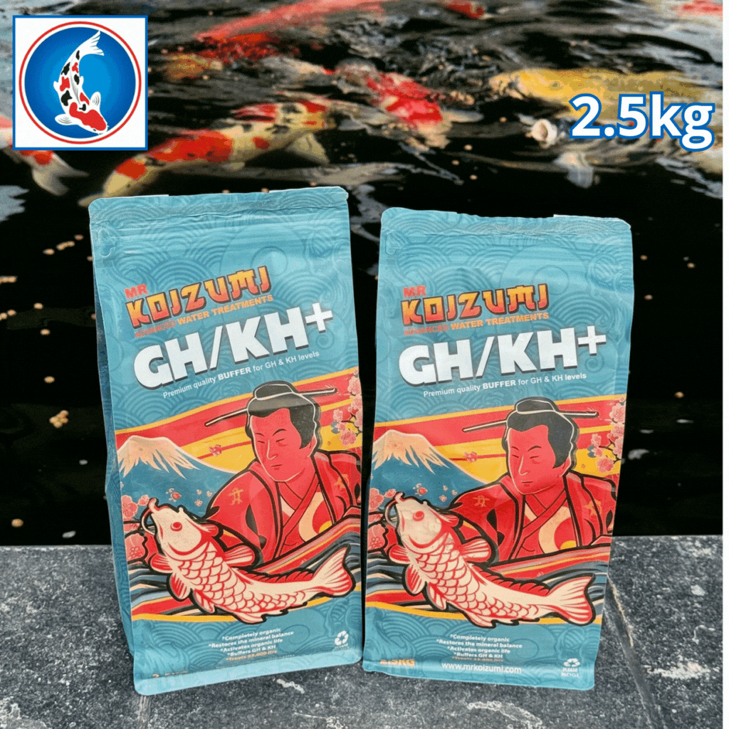 Mr Koizumi  GH/KH+ 2.5kg