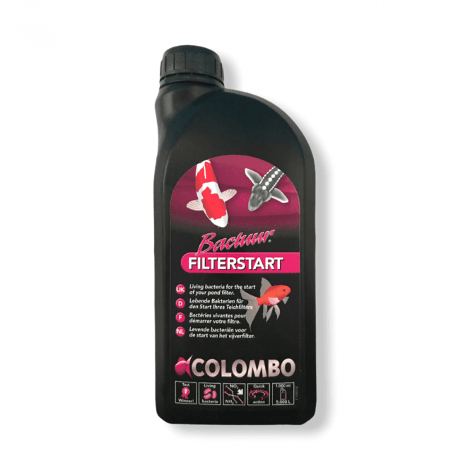 Colombo Filter Start