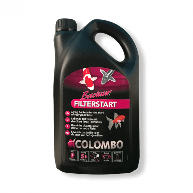 Colombo Filter Start