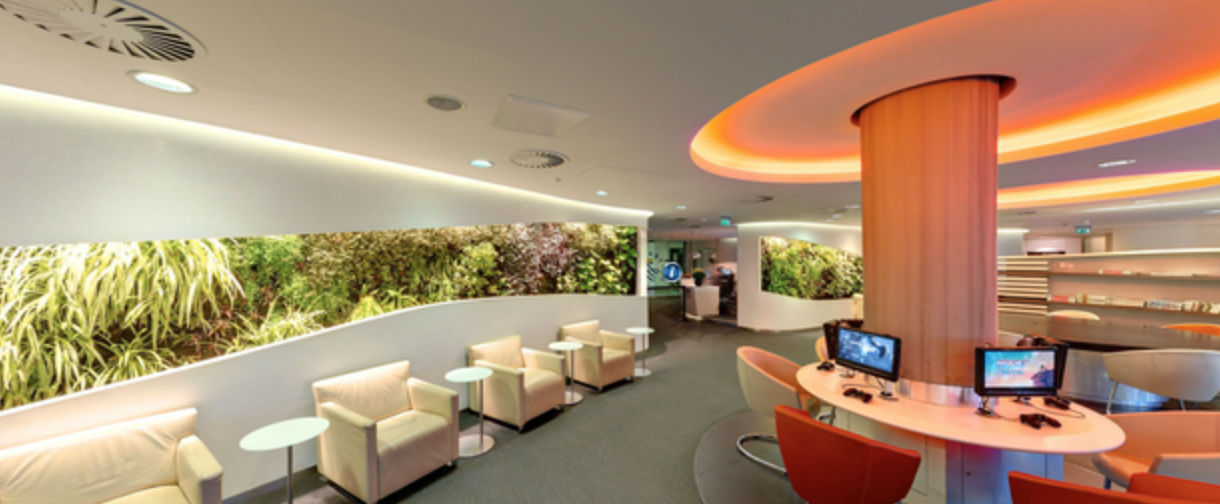 On Route – Queni Koi