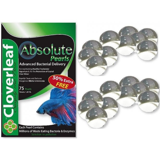 Cloverleaf Absolute Pearls - Aquarium