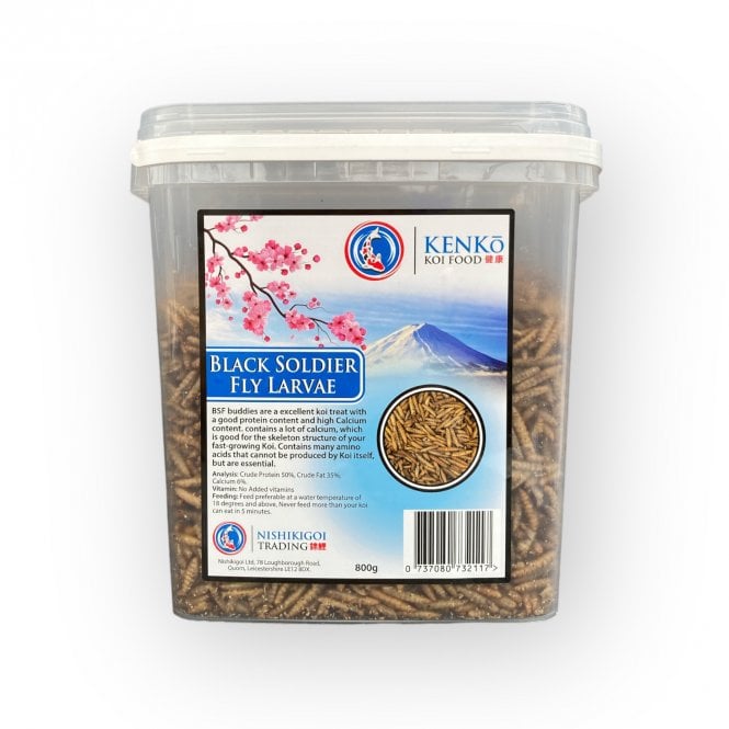 Kenko Black Soldier Fly 800g