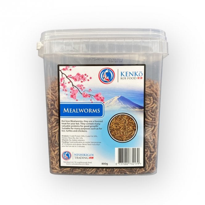 Kenko Mealworms  800g