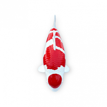 Kohaku (Model) - 50cm - K50-05-3