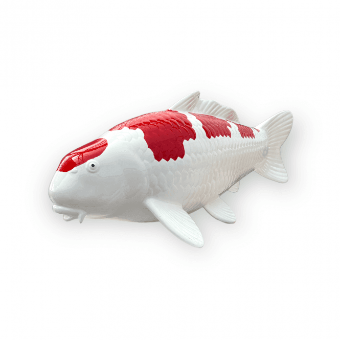 Kohaku (Model) - 50cm - K50-05-3