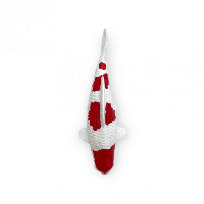 Kohaku (Model) - 15cm - K15-23-3