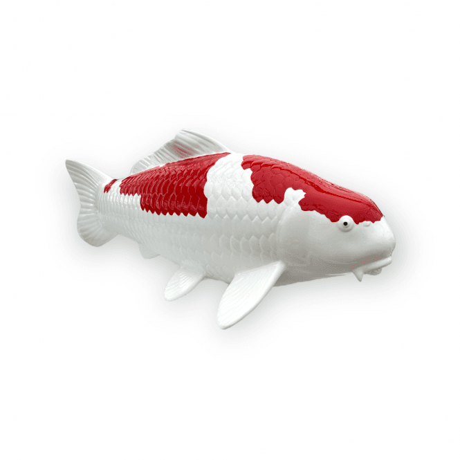 Kohaku (Model) - 50cm - K50-04-03