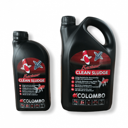 Colombo Clean