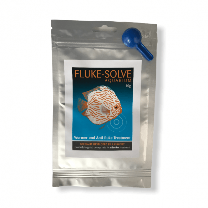 Fluke Solve Aquarium - 10g