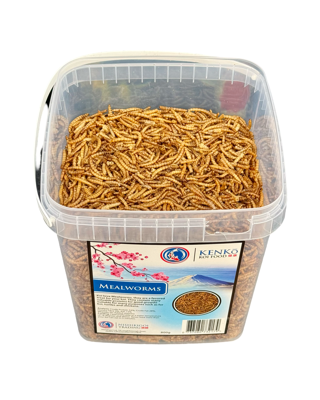 Kenko Mealworms  800g