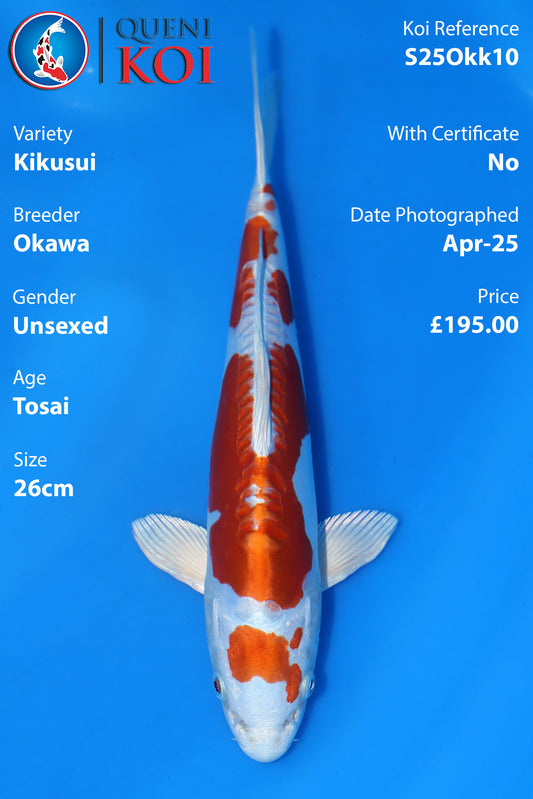 Kikusui - S25Okk10