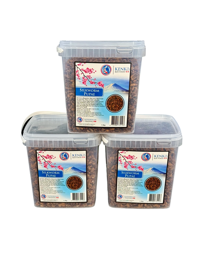 Kenko Silkworm Pupae  1.5kg