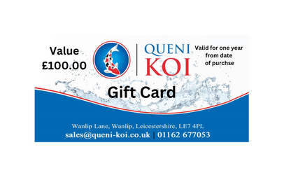 Queni Koi gift cards