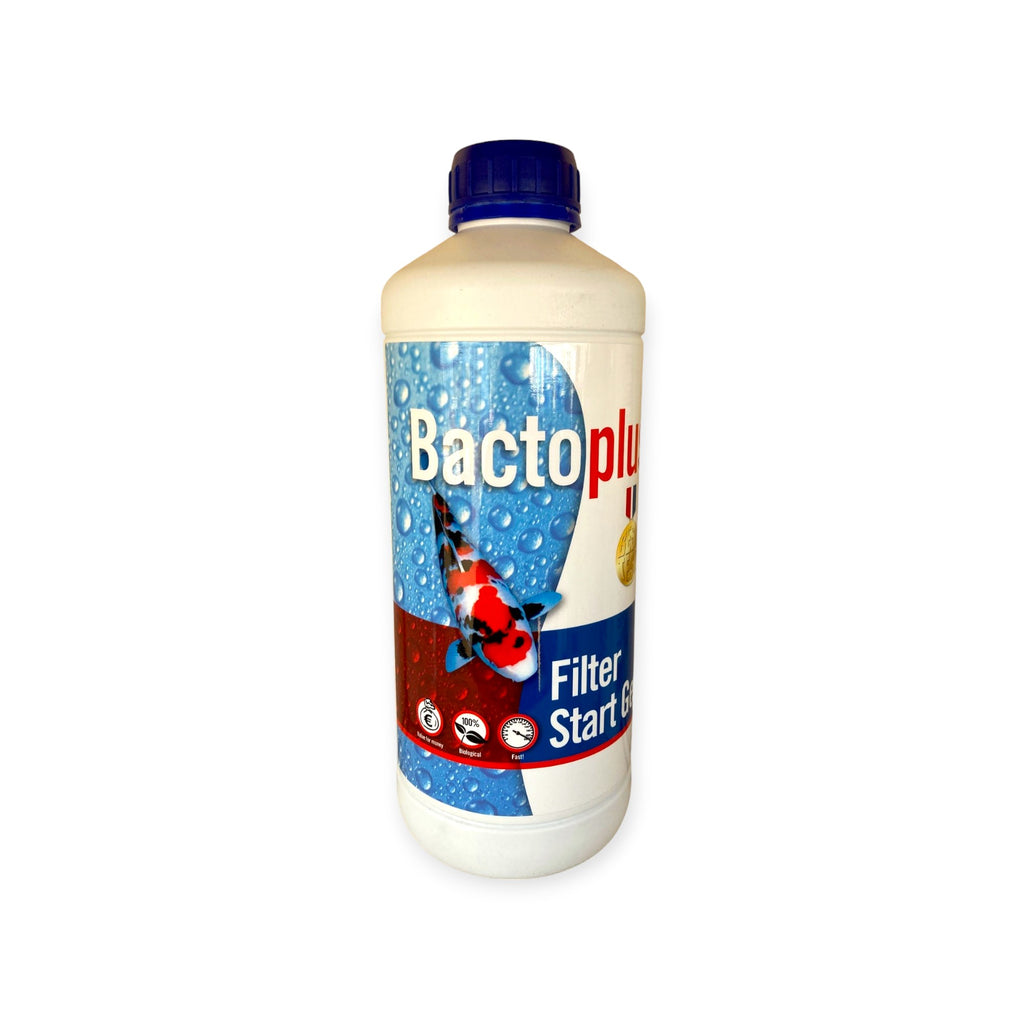 Bactoplus Filter Start Gel