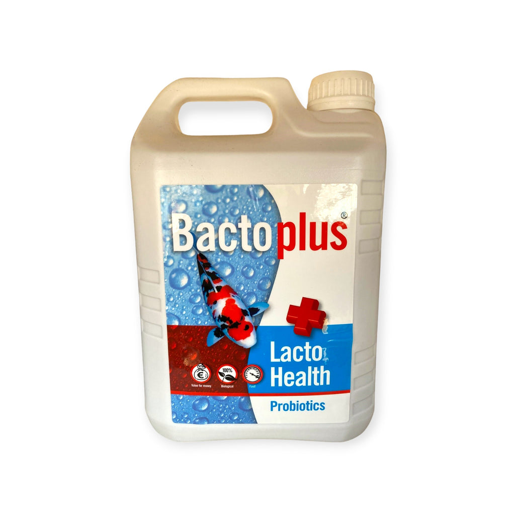 Bactoplus Lacto Health