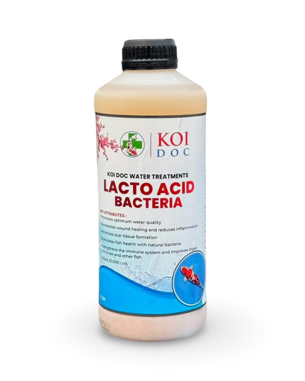 Koi Doc Lacto Acid Bacteria