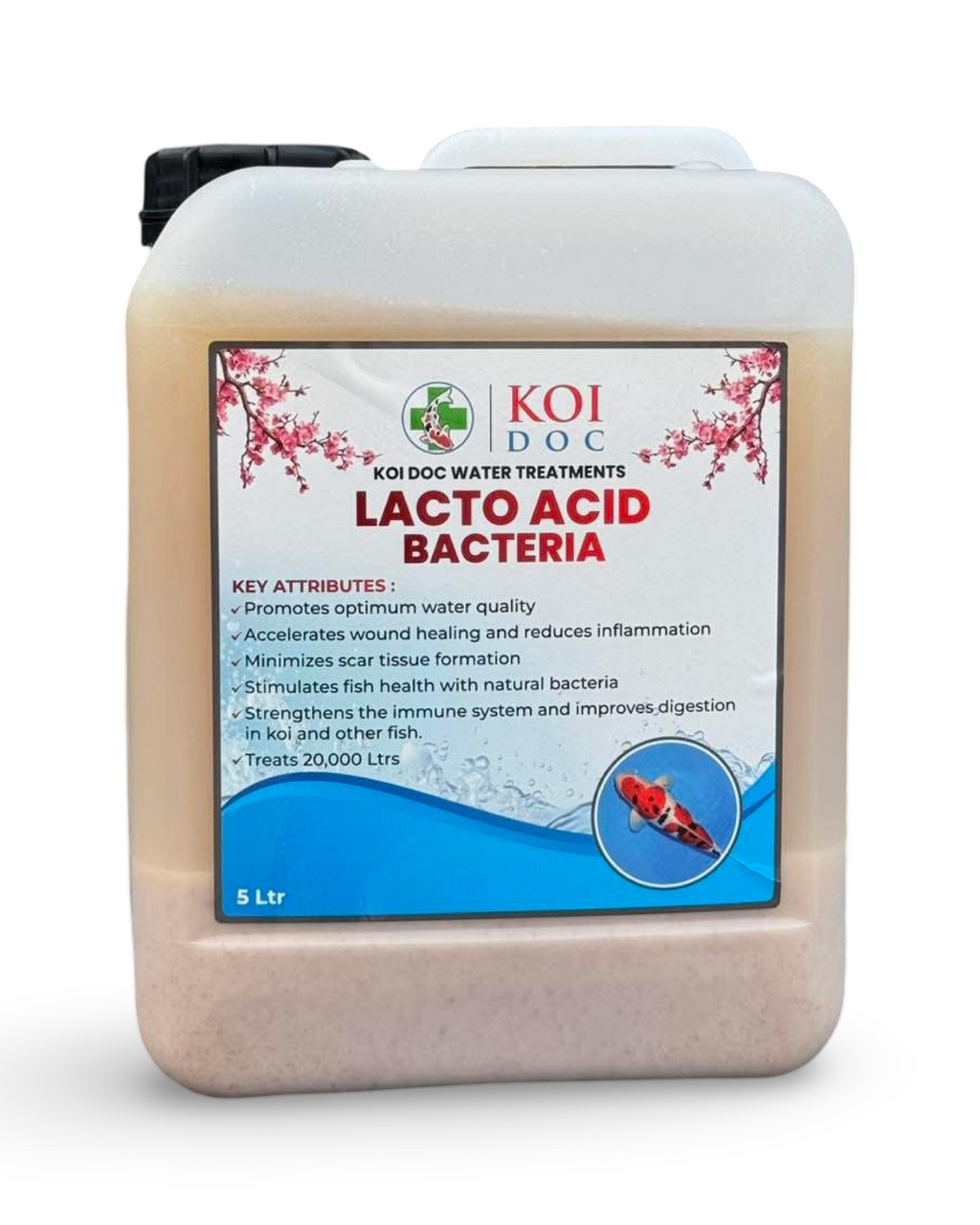 Koi Doc Lacto Acid Bacteria