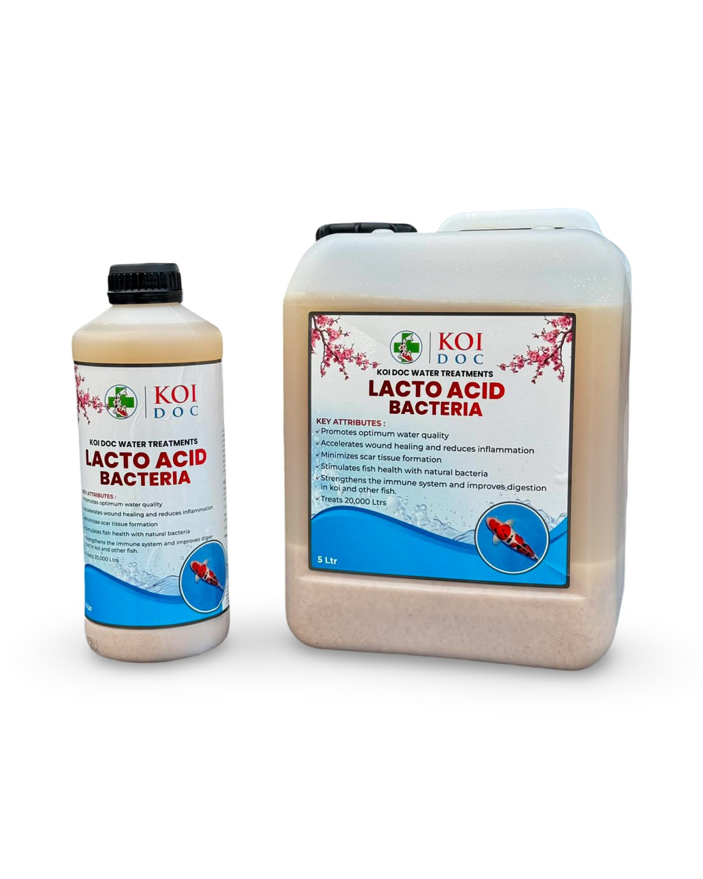 Koi Doc Lacto Acid Bacteria