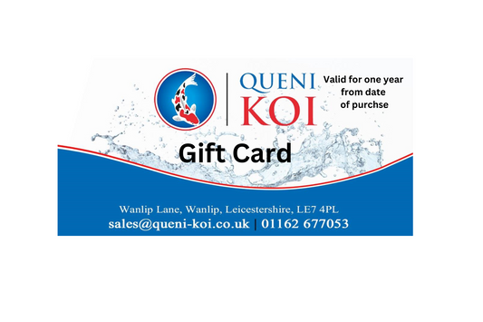 Queni Koi gift cards