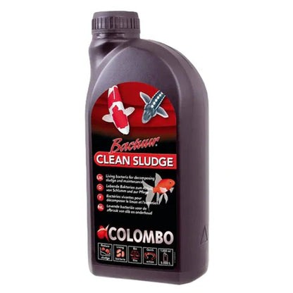 Colombo Clean