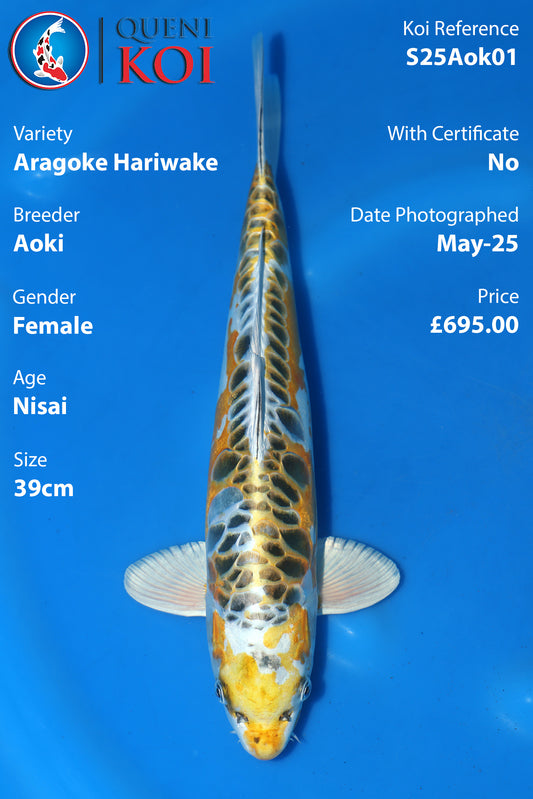 Aragoke Hariwake - S25Ako01
